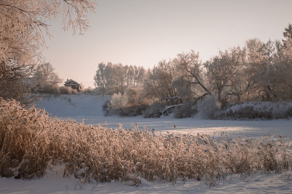 "Теплые лучи в морозный день"