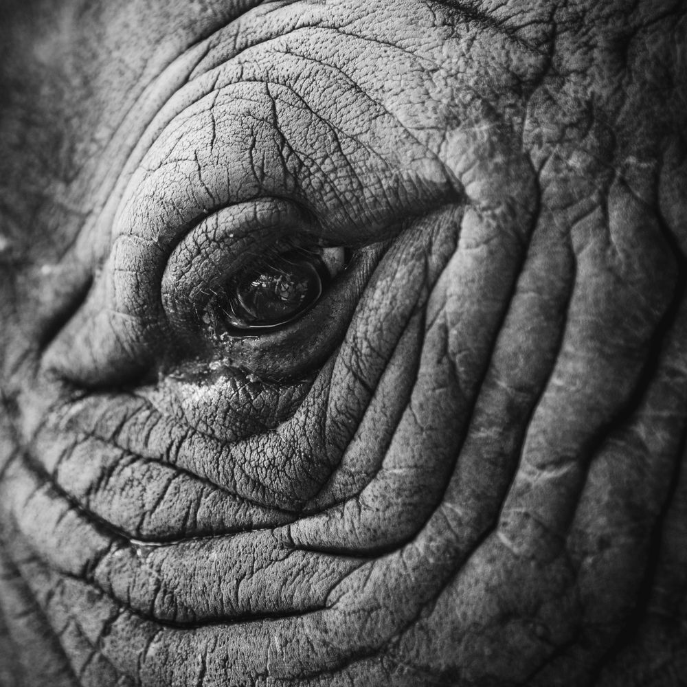 Photograph by Светлана Теперкина