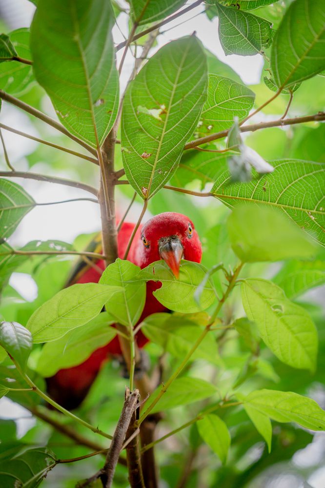 Photograph by Светлана Теперкина