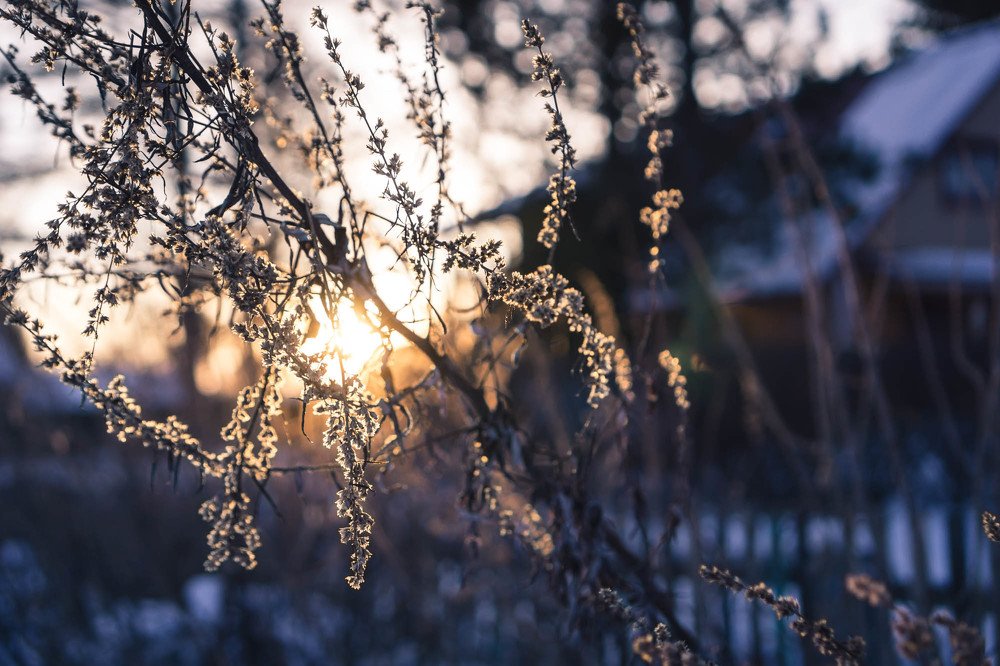 Photograph by Светлана Теперкина