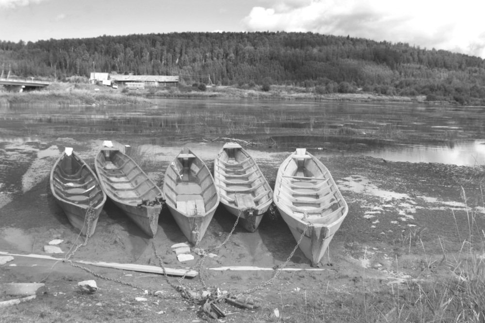 челдонки на берегу