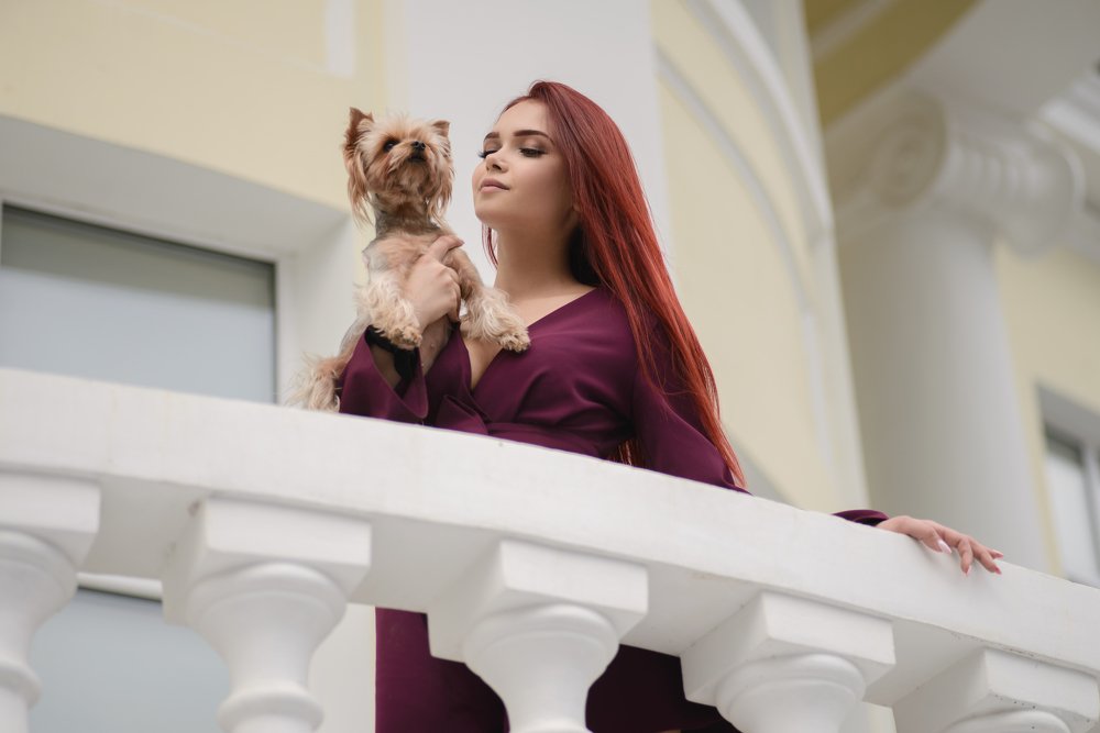 Вечерняя прогулка