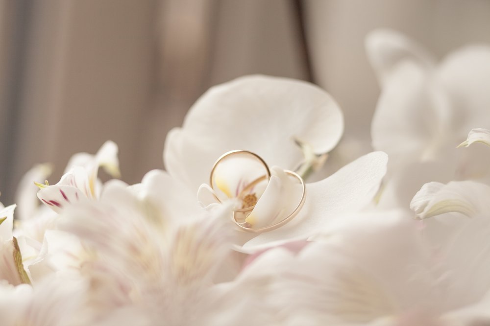 Photograph by Елена Глазунова