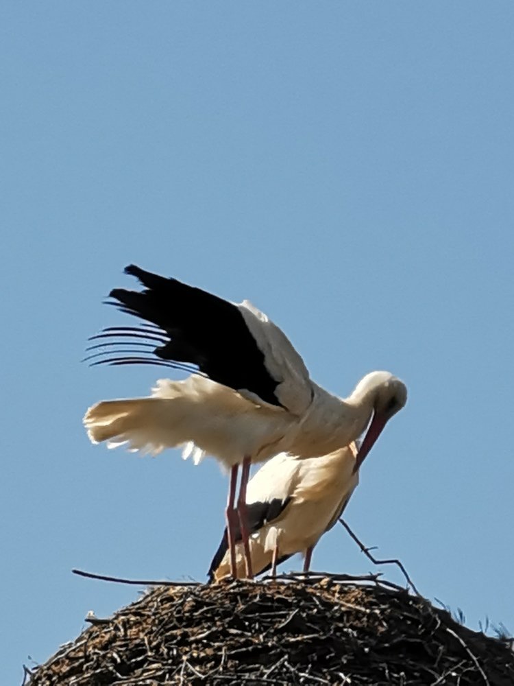 Фотография автора Рутковская Жанна