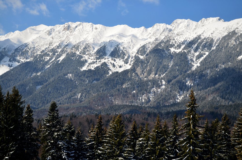 Piatra Craiului Mountain