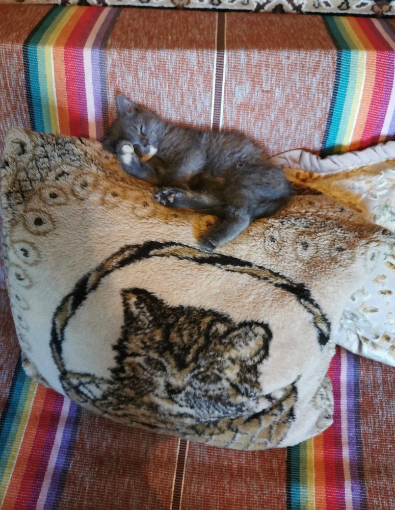 Фотография автора Рутковская Жанна