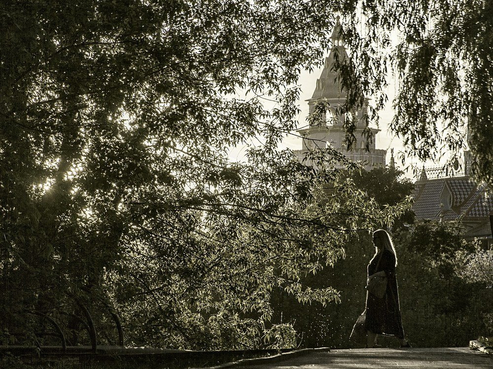 Вечернее фото с комарами.