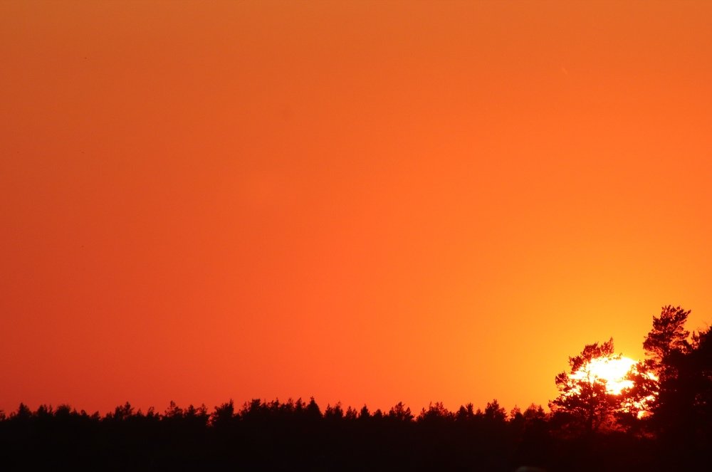 Летний закат