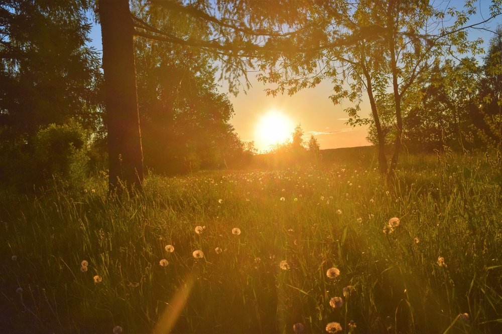 Photograph by Алексей Усов