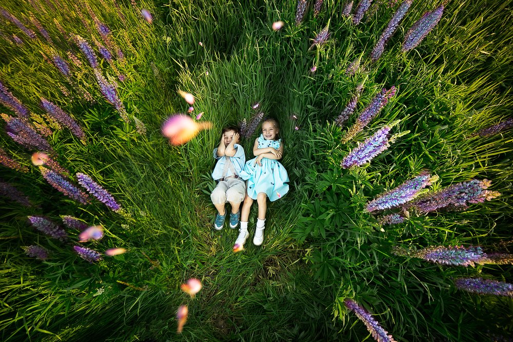 головокружительное лето