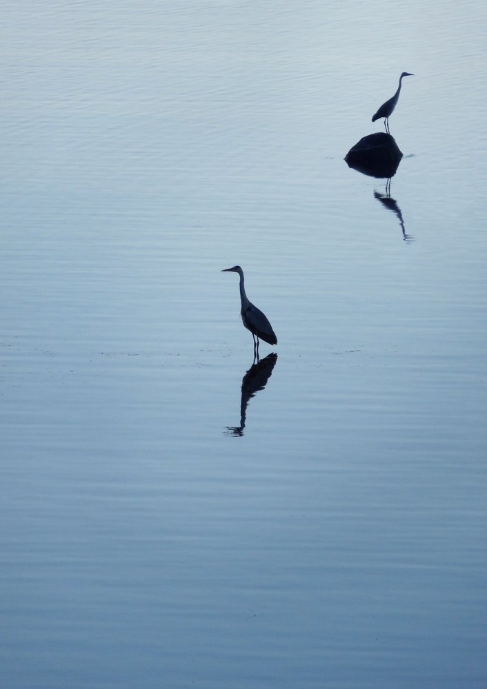 Photograph by Ирина Щеглова