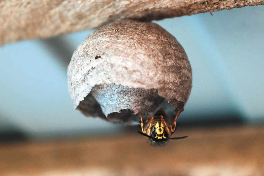 Скоро новоселье, новый дом