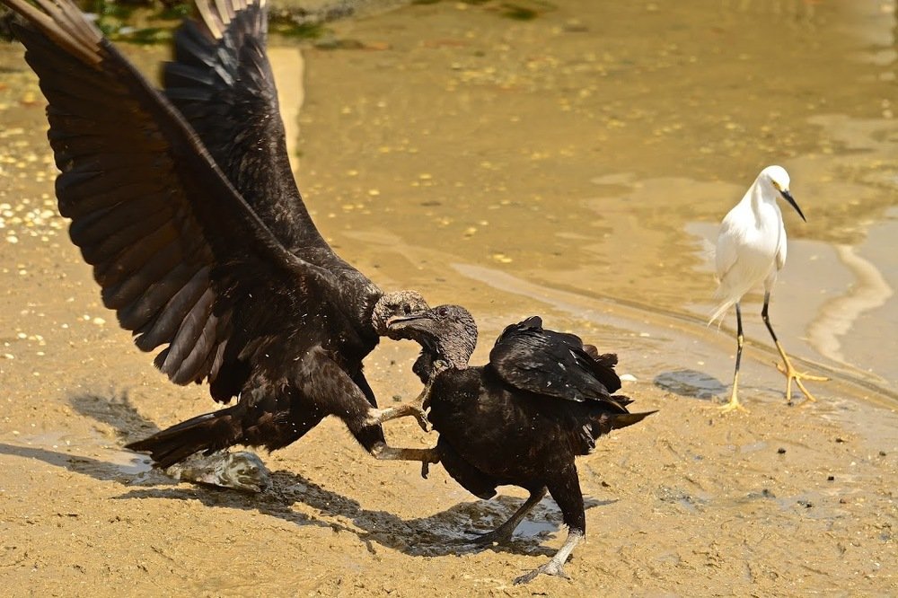 Photograph by João Maria da Silva Júnior