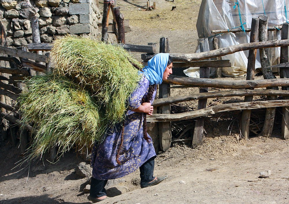 Фотография автора behbood mohajeri jolandan