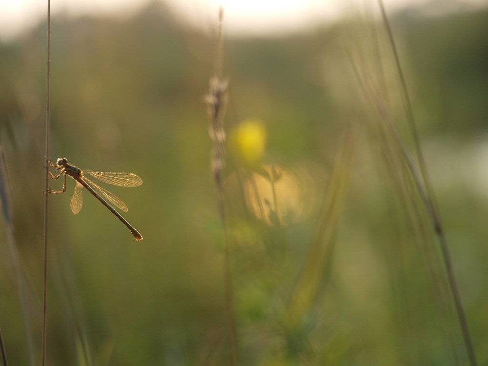Photograph by Екатерина Тимофеева
