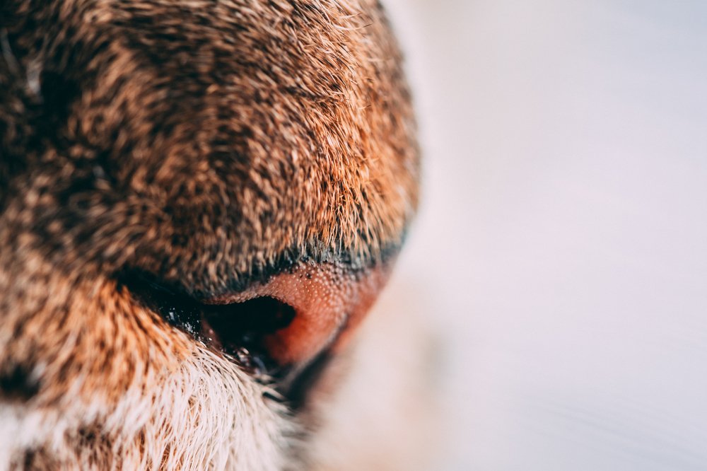 Photograph by Stanislav Kondratiev