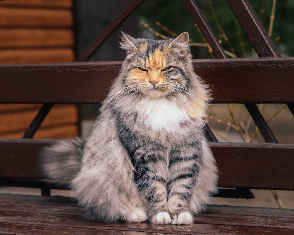 Photograph by Stanislav Kondratiev