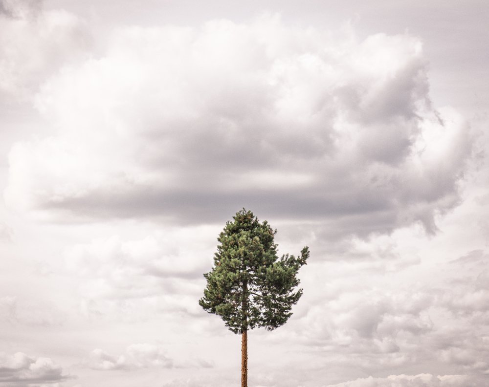 Photograph by Stanislav Kondratiev