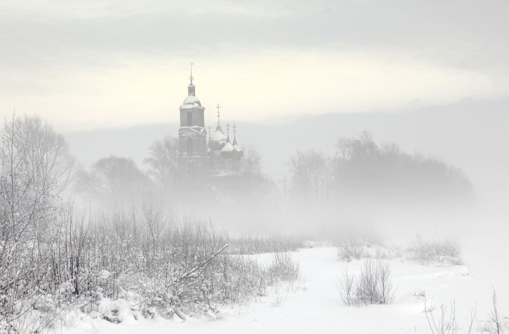 Фотография автора Сергей Метелица