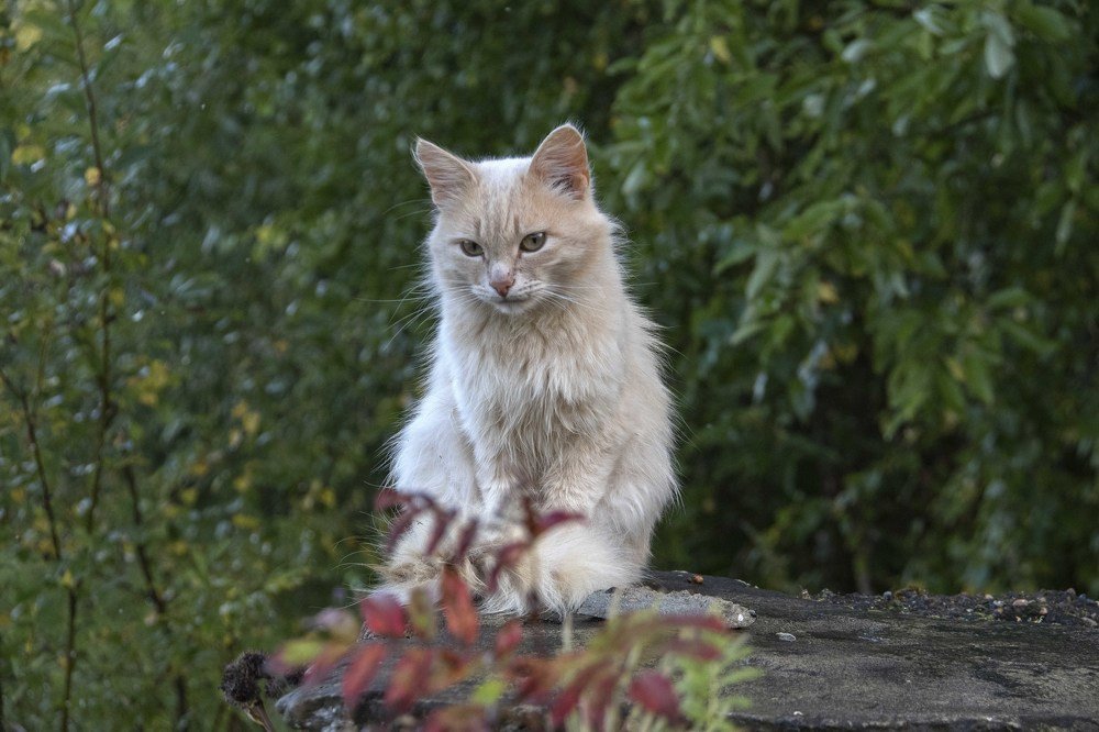 Photograph by миша