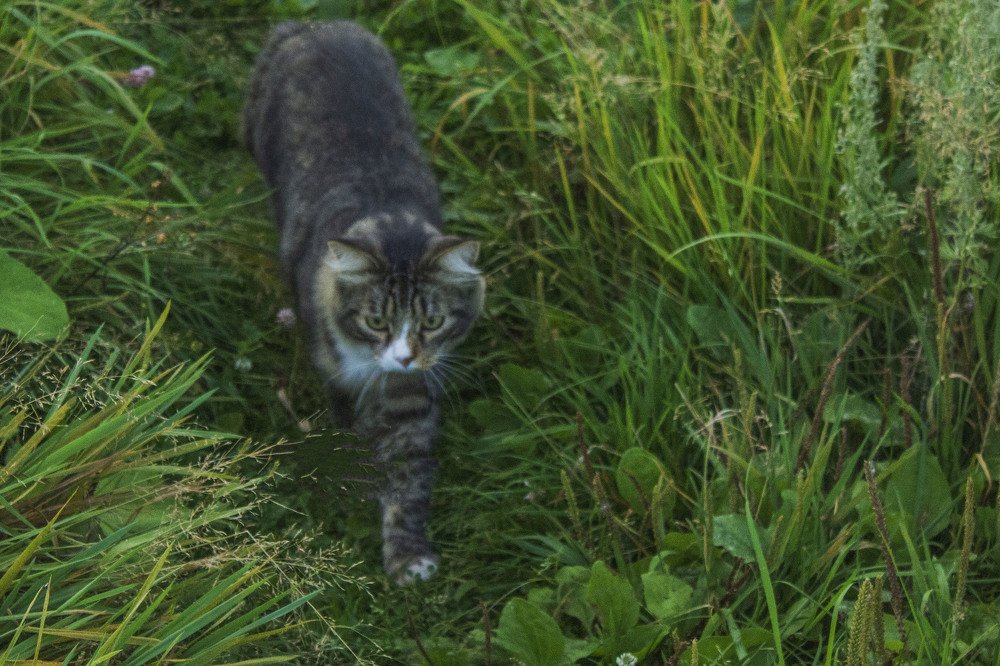 Photograph by миша