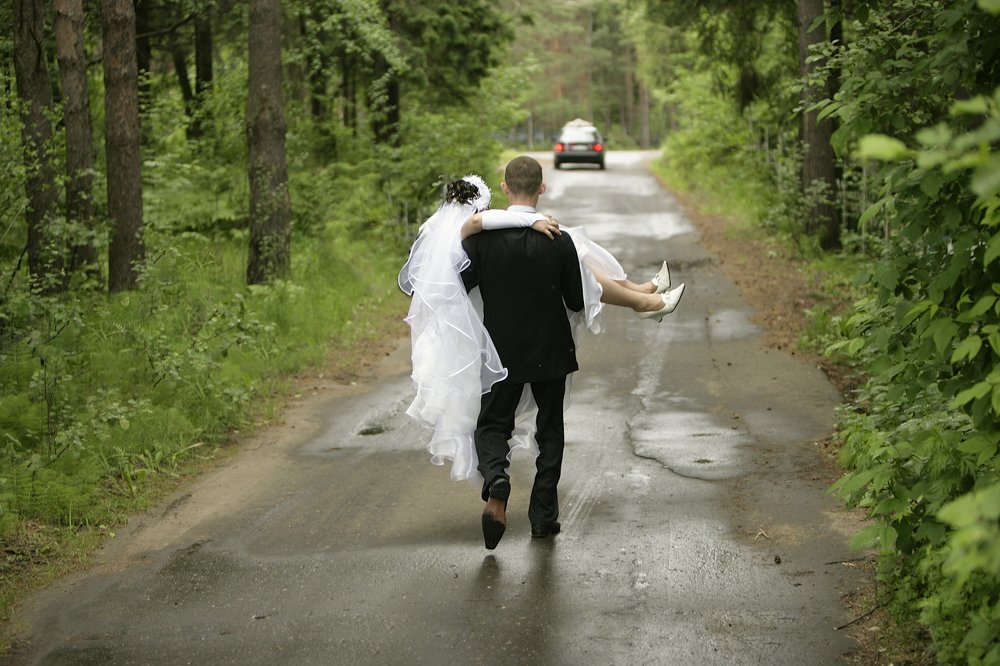 Фотография автора Сергей Метелица