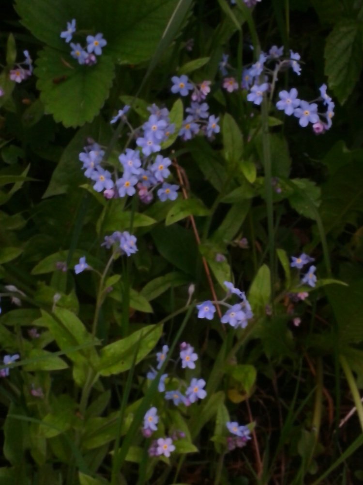 Фотография автора Рутковская Жанна