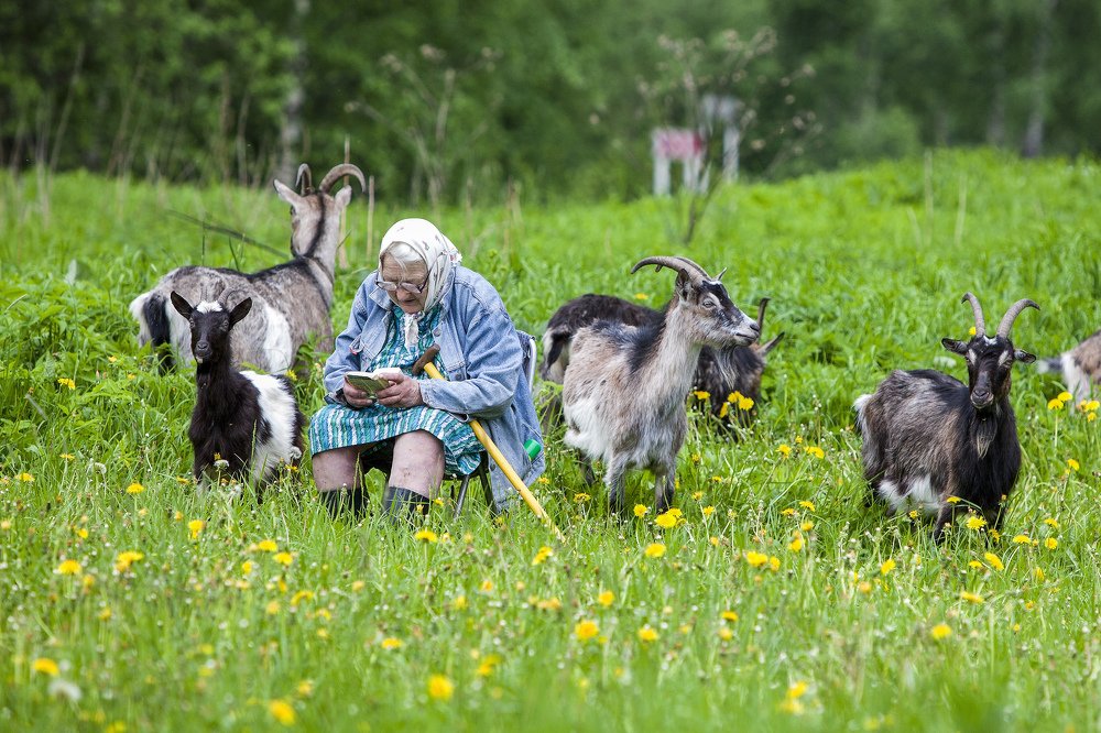 Фотография автора Сергей Метелица