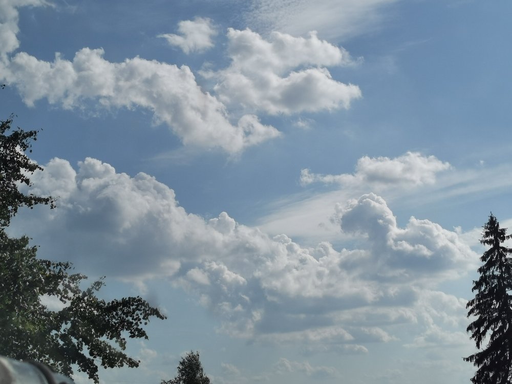 Фотография автора Рутковская Жанна