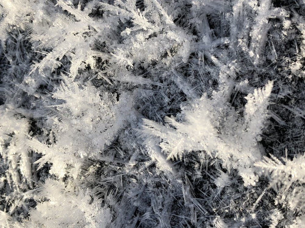 Photograph by Александр Машкарин