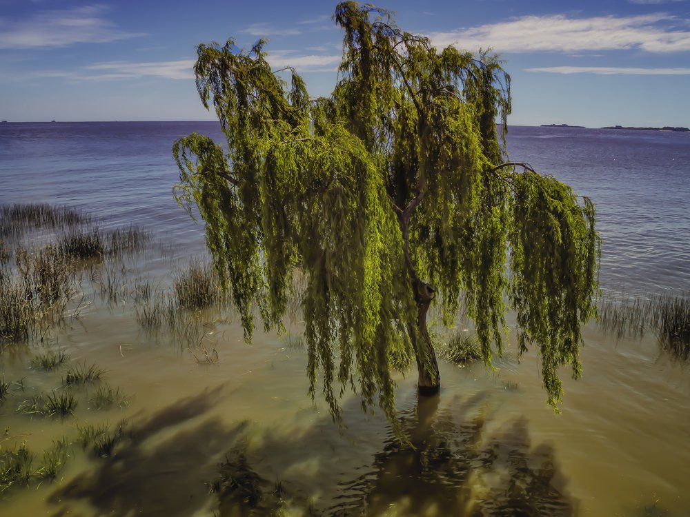 Фотография автора Cristina Wnetrzak