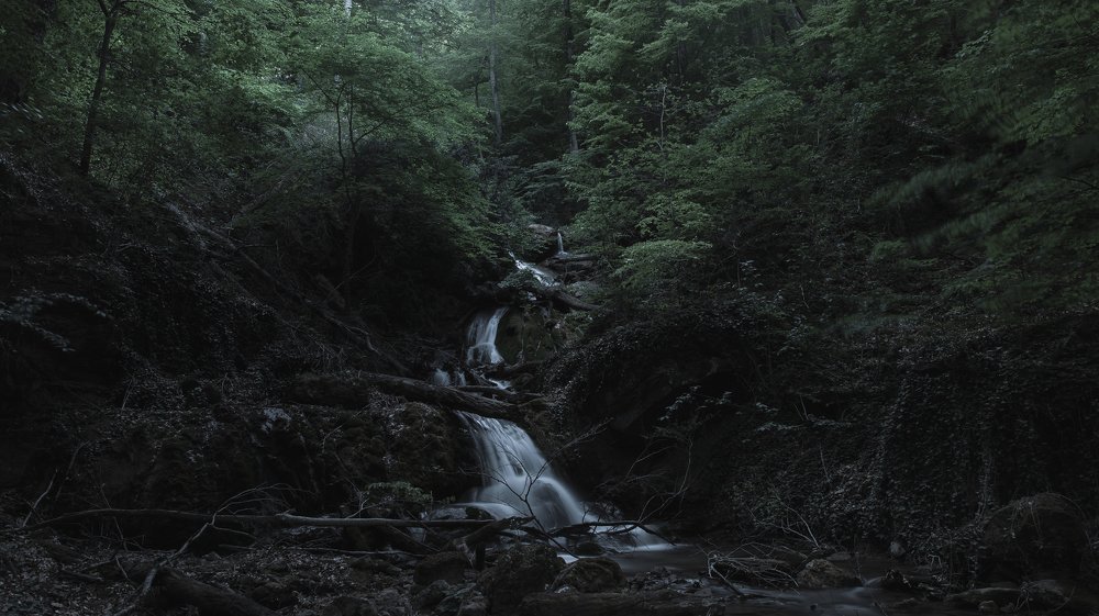 Photograph by Артём Корнев