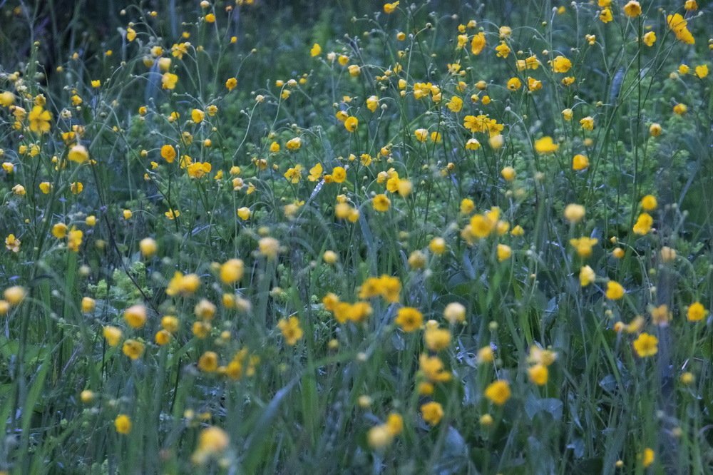 Photograph by миша