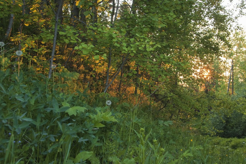 Photograph by миша