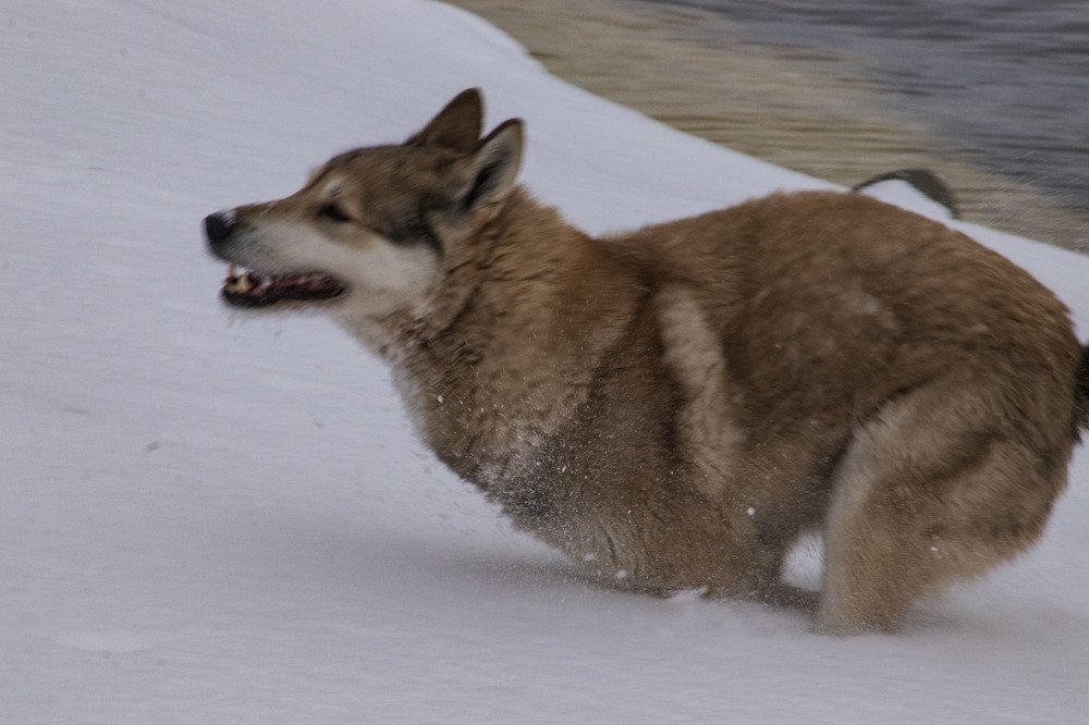 Photograph by миша