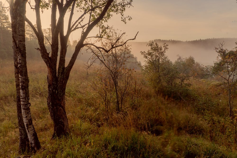 Фотография автора Сергей Тишковский