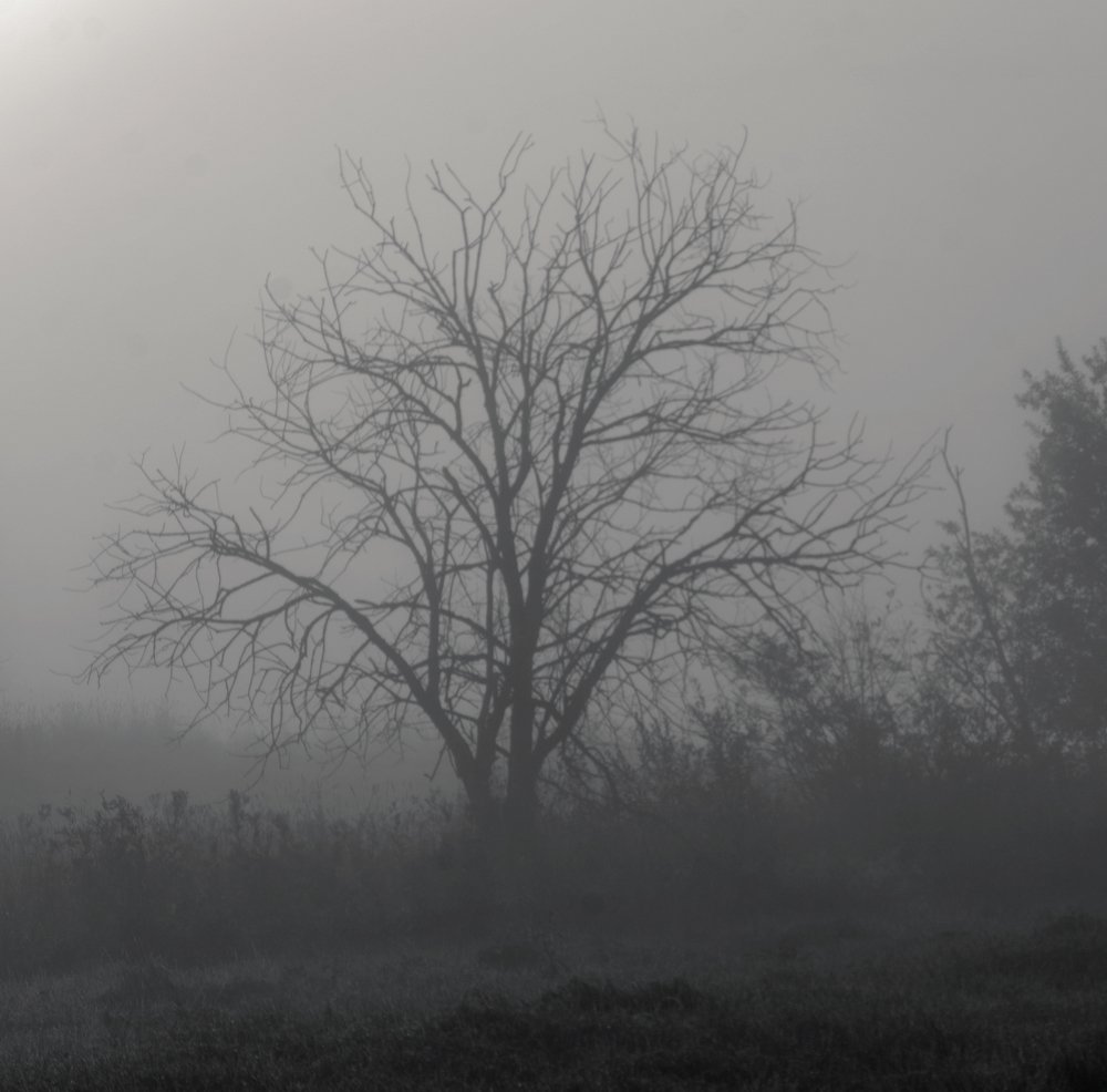 Фотография автора Сергей Тишковский