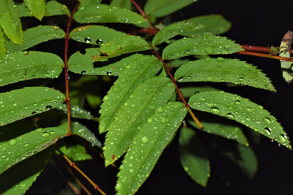 Photograph by Алексей Усов