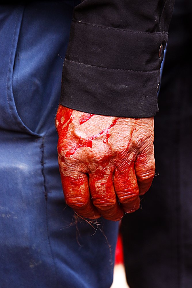 Фотография автора behbood mohajeri jolandan