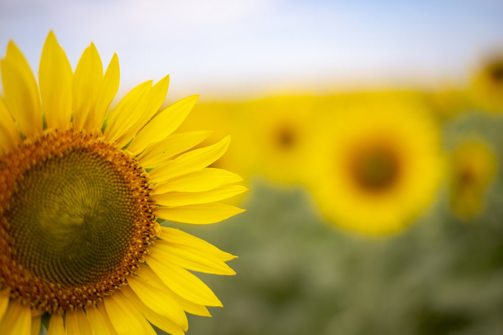 Фотография автора Tanya Turmalin