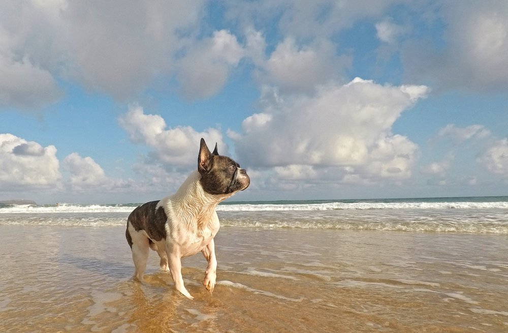 Photograph by DDiArte