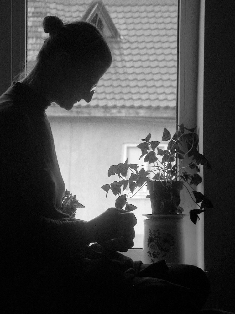 Фотография автора Lucasievici Maria