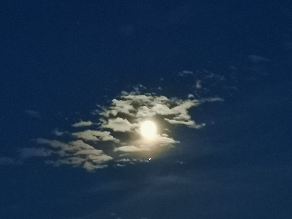 Фотография автора Рутковская Жанна