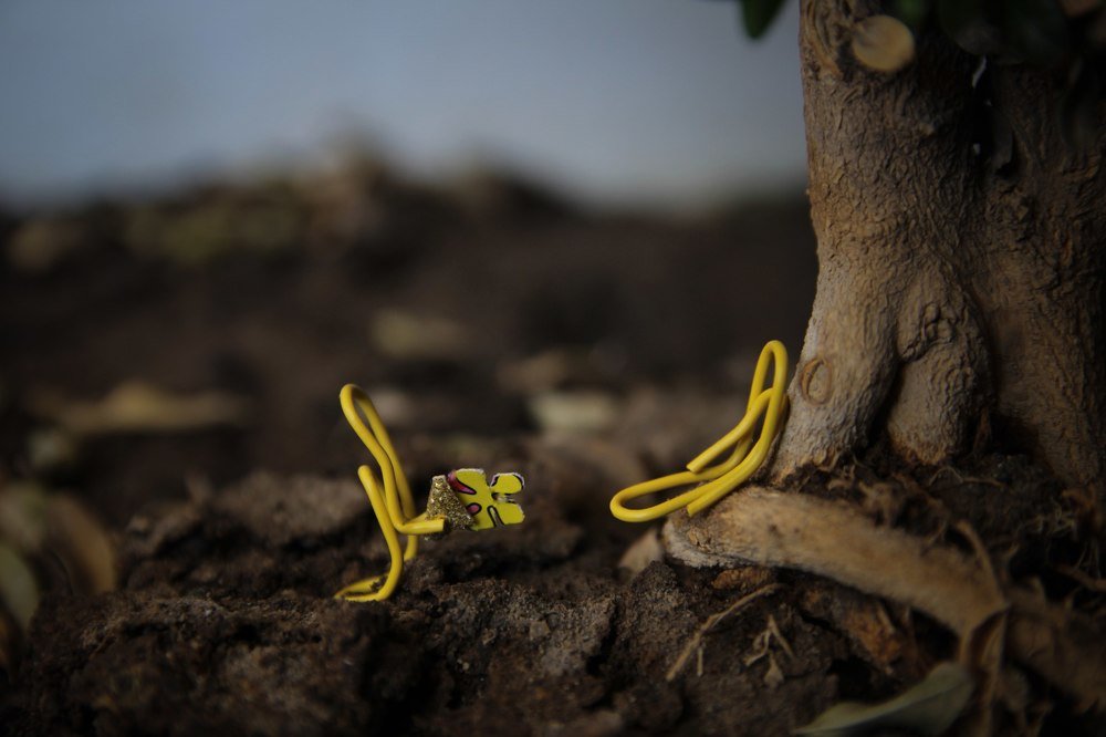 Photograph by Нигора Гайбуллаева