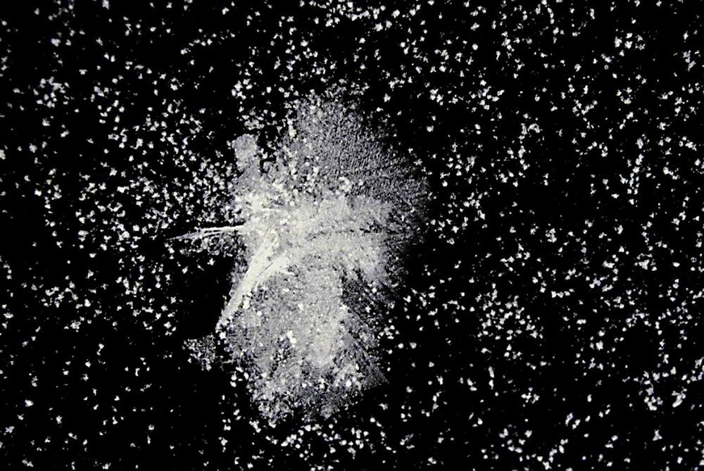 Фотография автора Валерий Дубровин