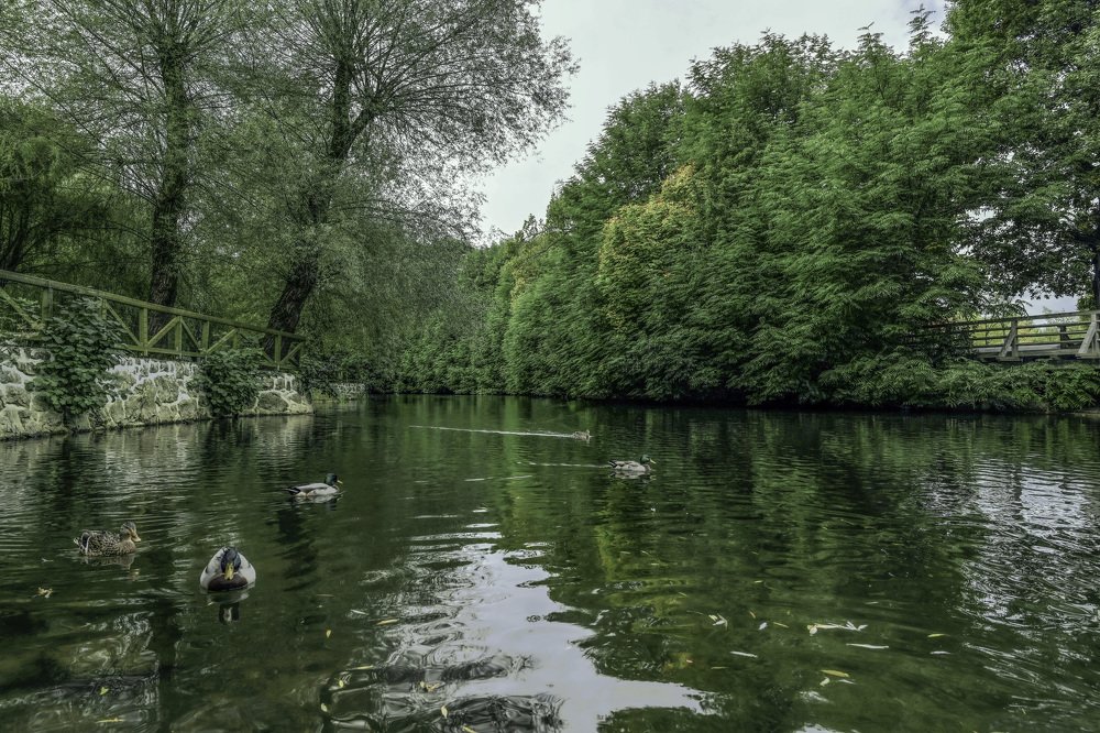 Photograph by YURI GARNAGA