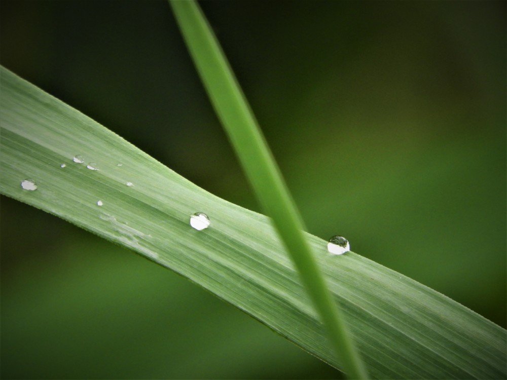 Photograph by Tim De Keirsmaeker