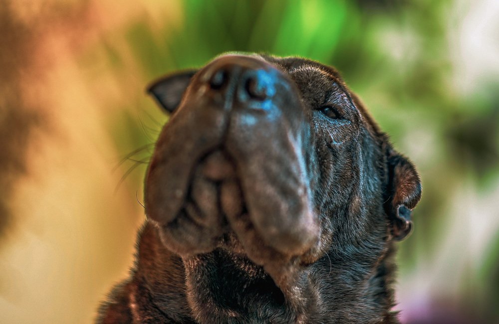 Photograph by YURI GARNAGA