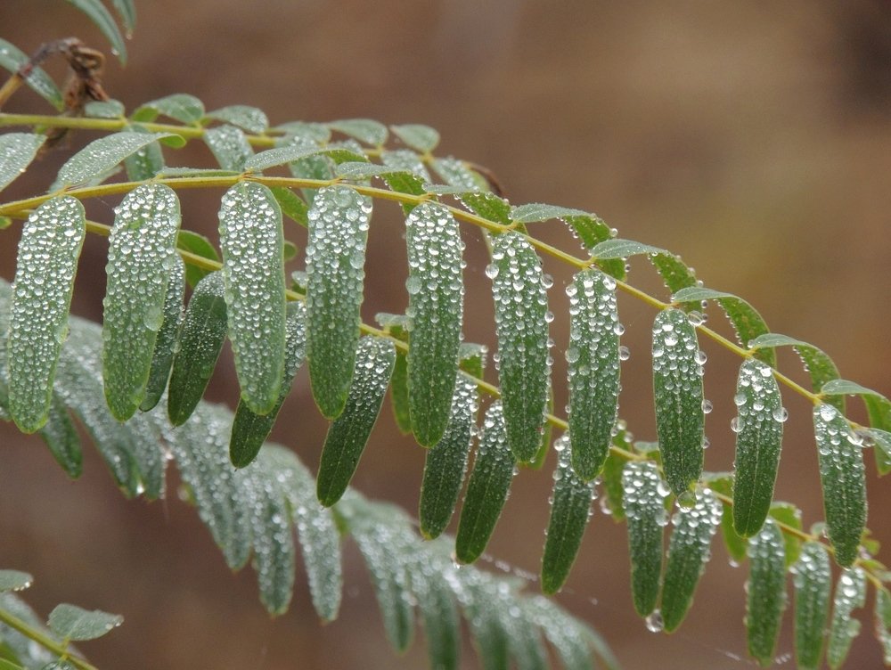 Photograph by Ionescu Stelian