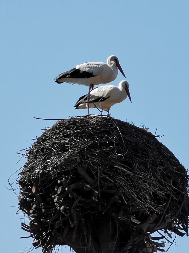Фотография автора Рутковская Жанна